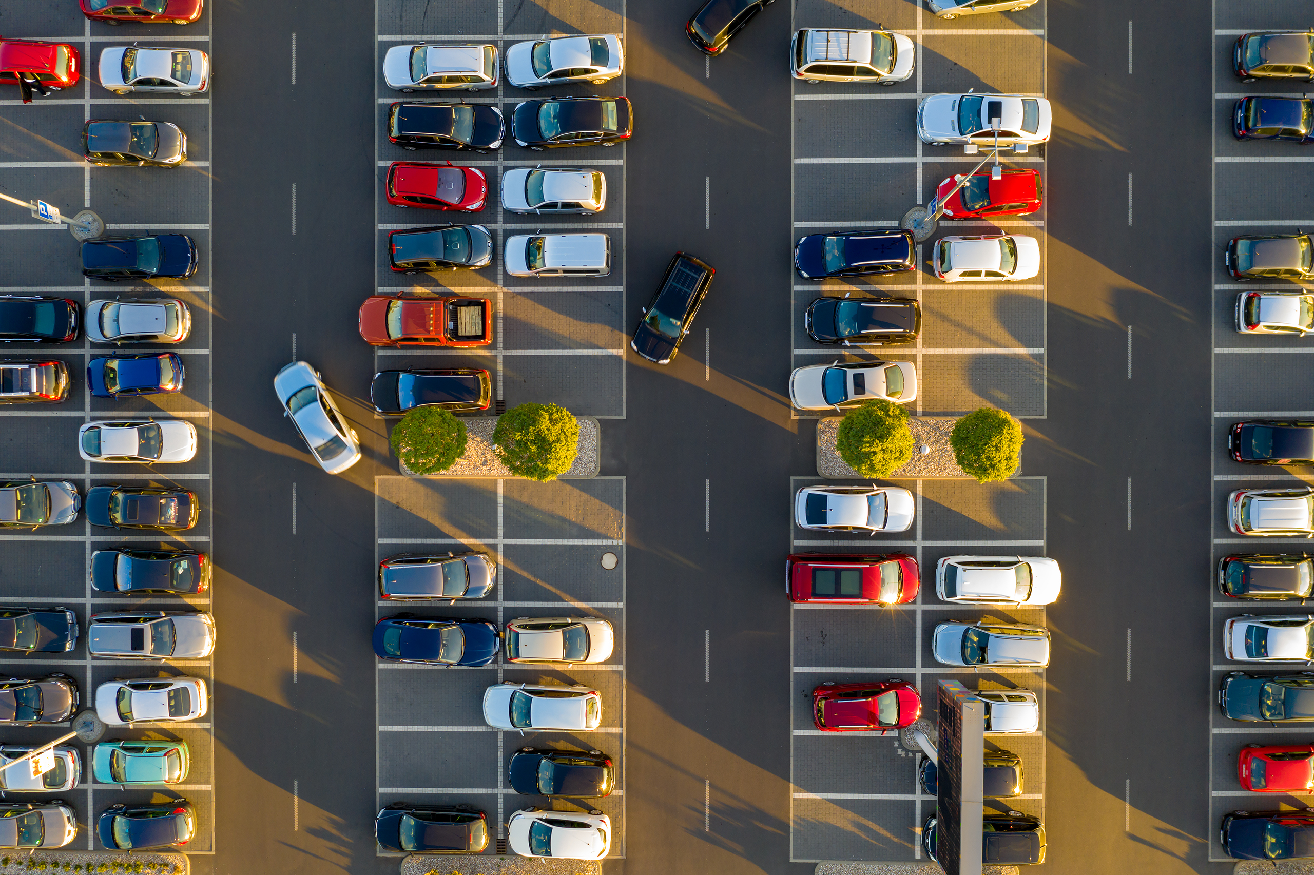 AdobeStock_228703433